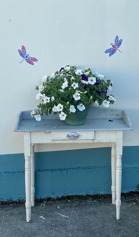 Farm Stay Property Pets And Families Welcome Rossnowlagh Zewnętrze zdjęcie