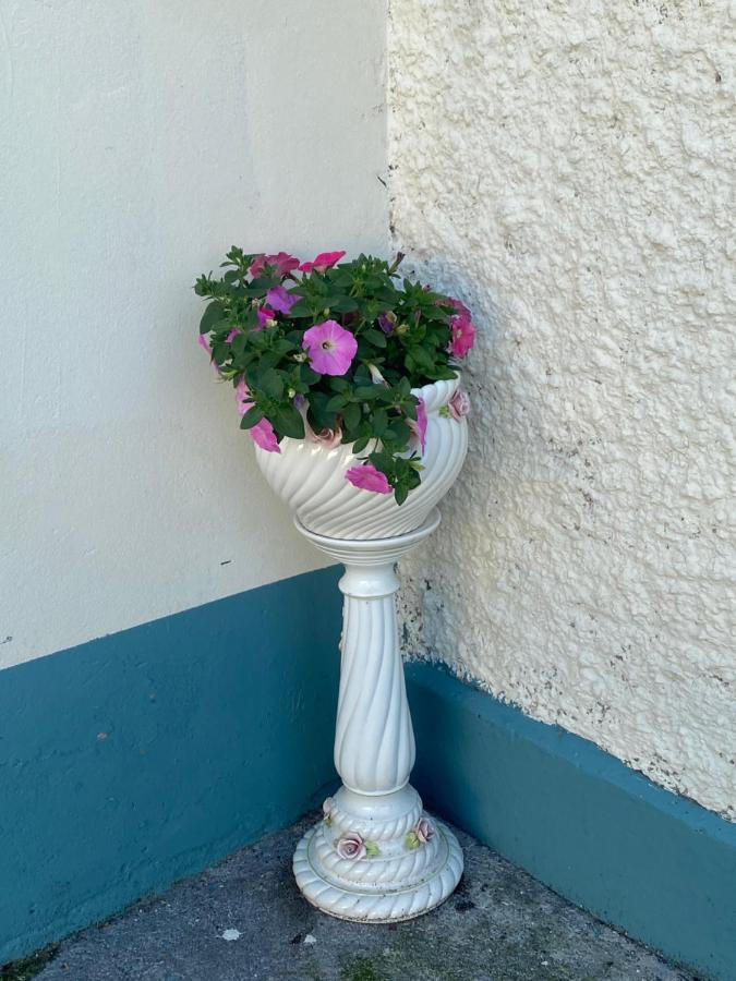 Farm Stay Property Pets And Families Welcome Rossnowlagh Zewnętrze zdjęcie