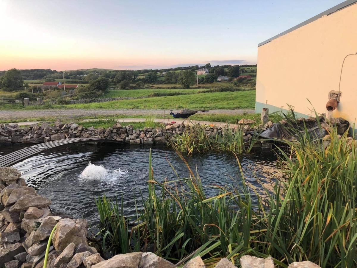 Farm Stay Property Pets And Families Welcome Rossnowlagh Zewnętrze zdjęcie