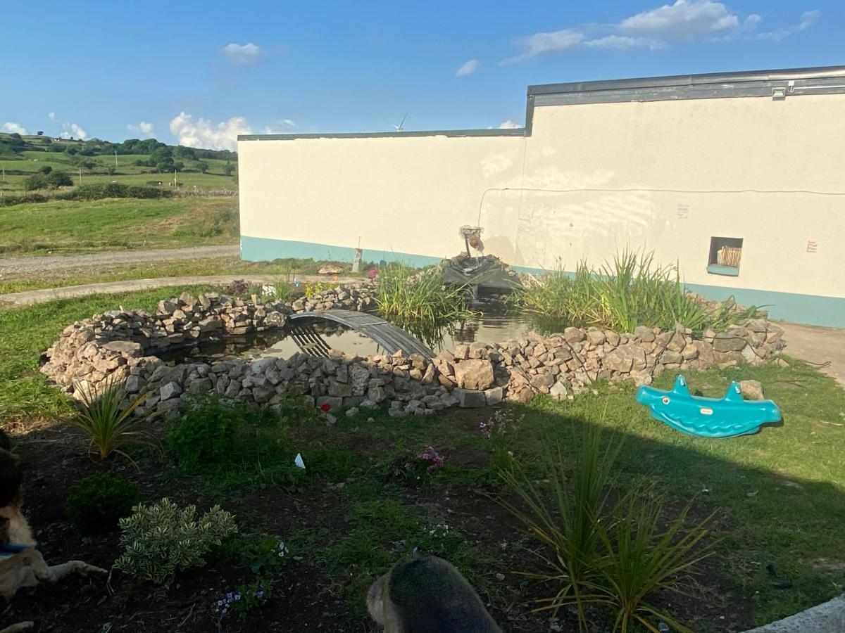 Farm Stay Property Pets And Families Welcome Rossnowlagh Zewnętrze zdjęcie